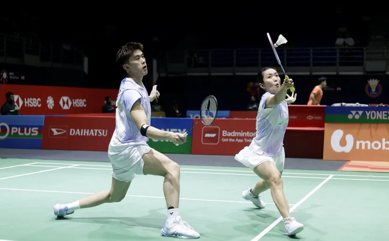 Badminton rackets and shuttlecocks beside an indoor court