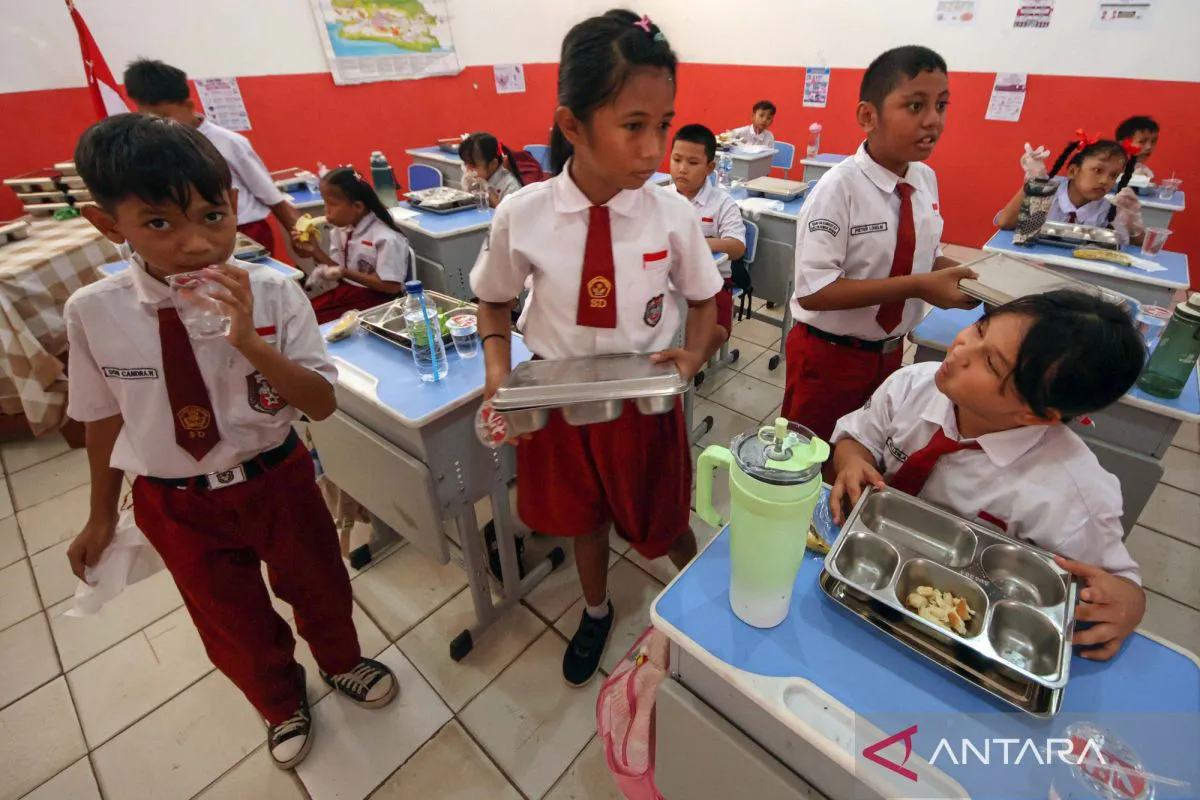 Trays of prepared meals in a school dining area