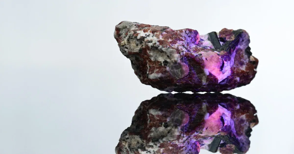 Mineral samples arranged for laboratory testing