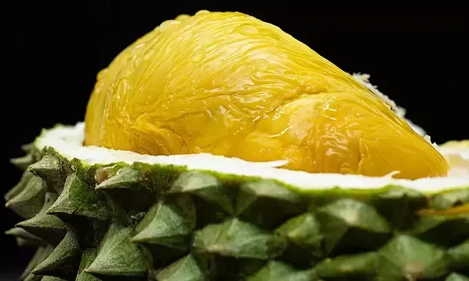 Fresh durians arranged for sale at a fruit market
