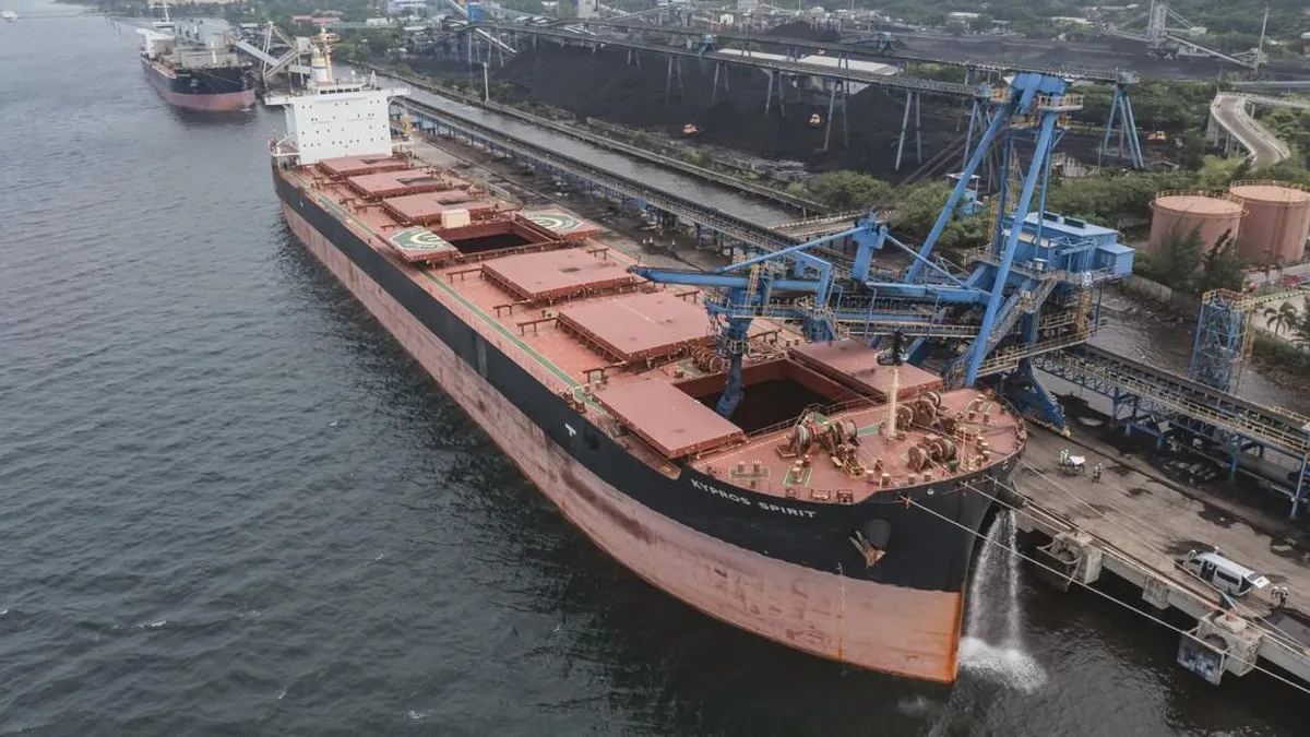 Coal stockpiles at an industrial facility
