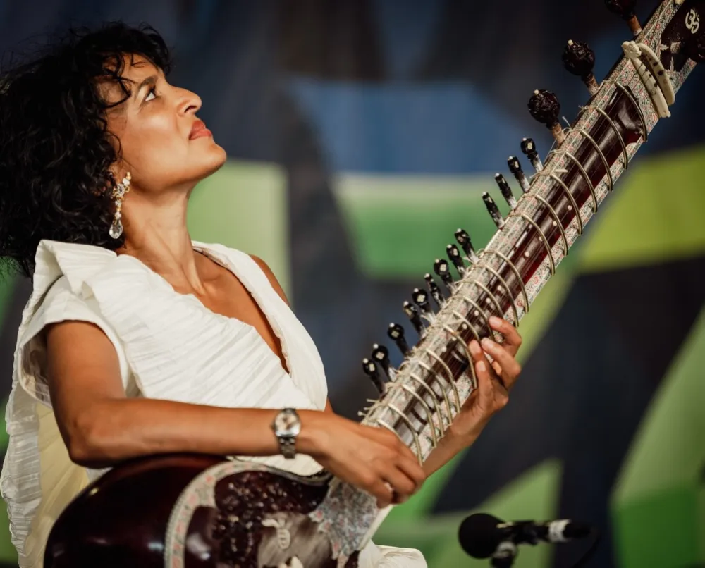 A sitar on a performance stage