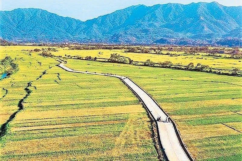A paved rural road running alongside agricultural fields