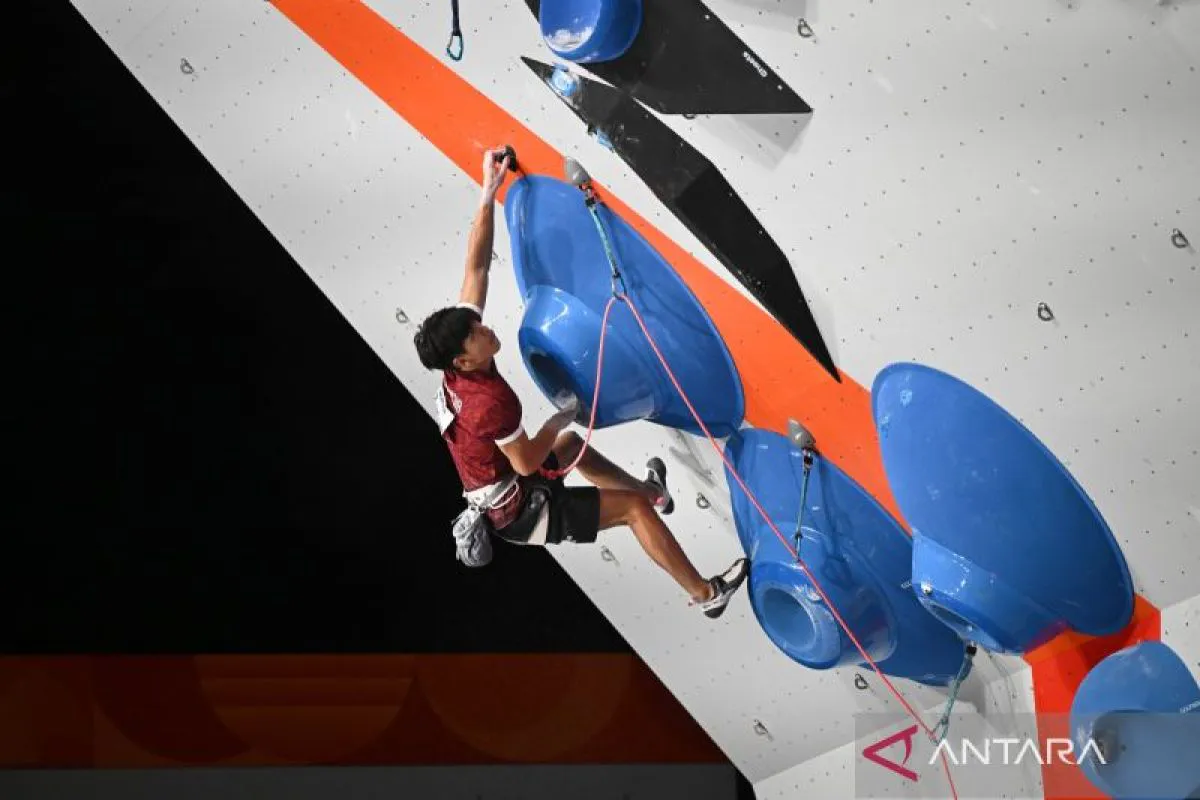 Climbing holds arranged on an indoor competition wall