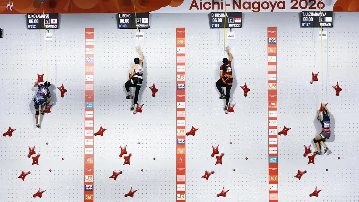 Climbing wall with coloured holds and safety ropes