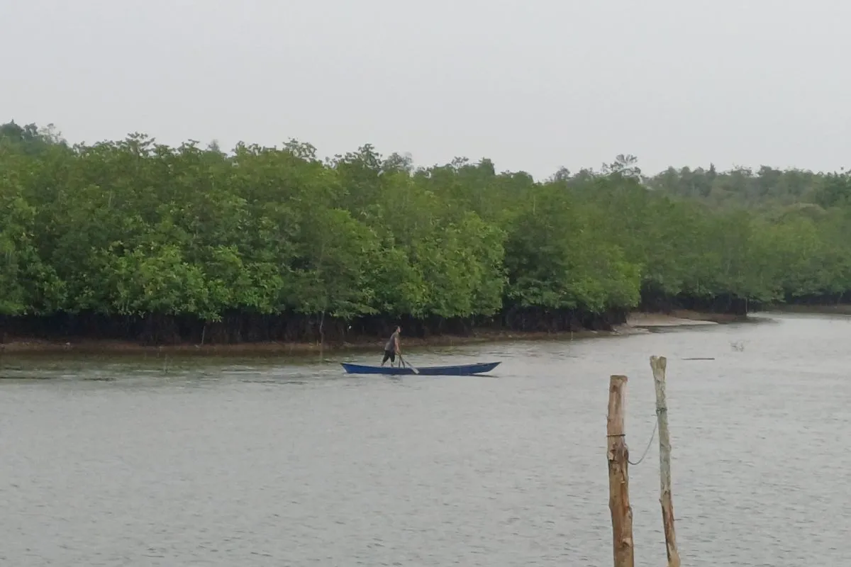 Fishing boats moored beside a coastal village in Indonesia
