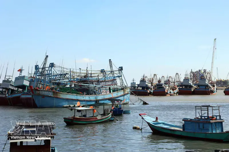 Ships moored beside cranes at a coastal port