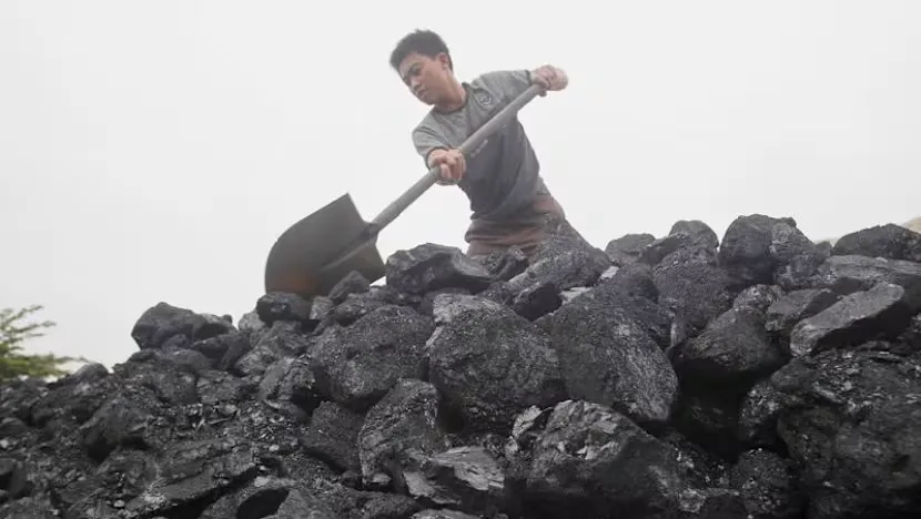 Coal stockpiles at a mining facility