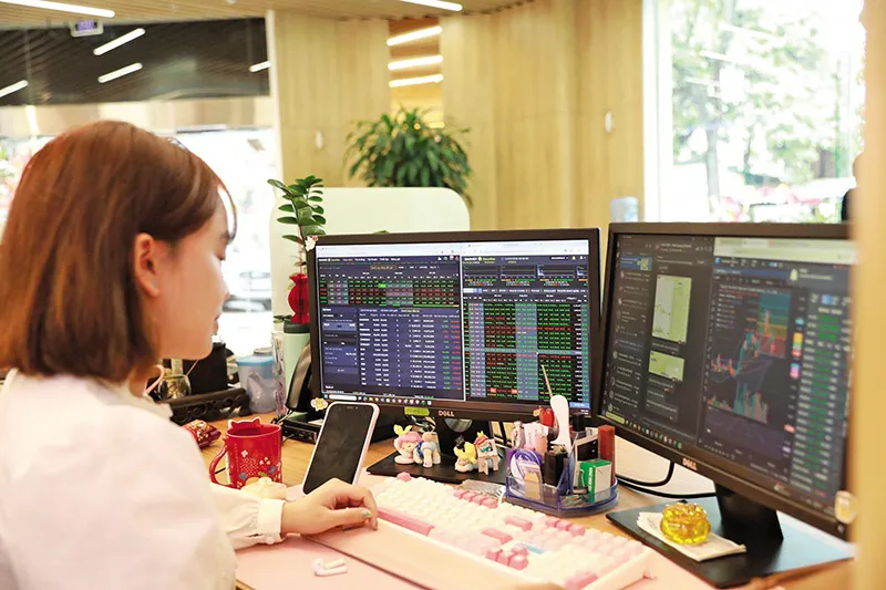 Financial charts and figures displayed on a computer screen
