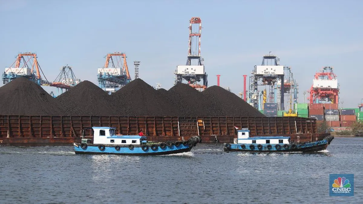 Coal stockpiles beside conveyor equipment at an export terminal