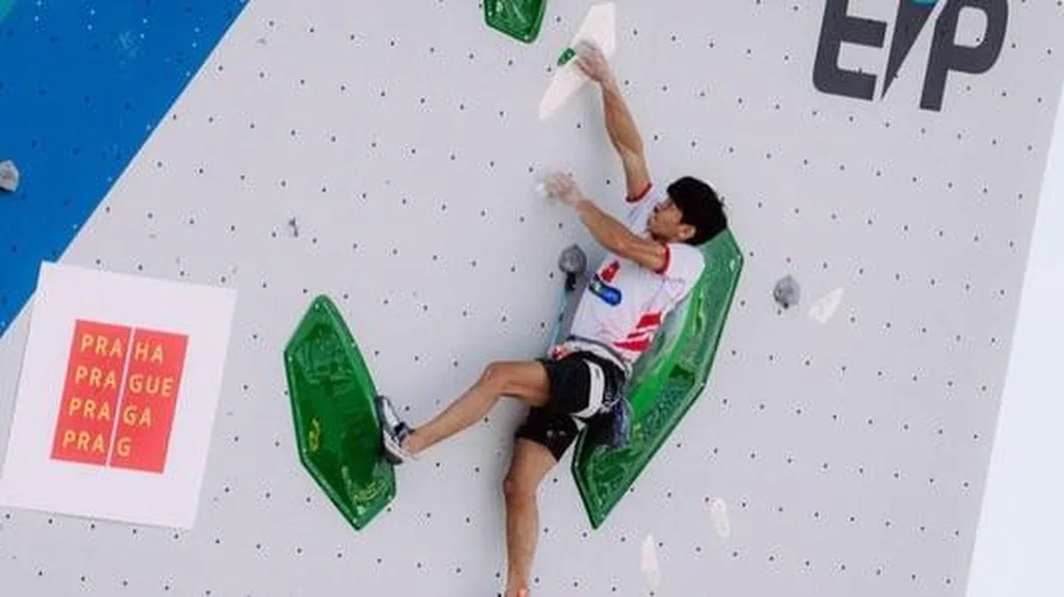 Holds arranged on an indoor lead climbing wall